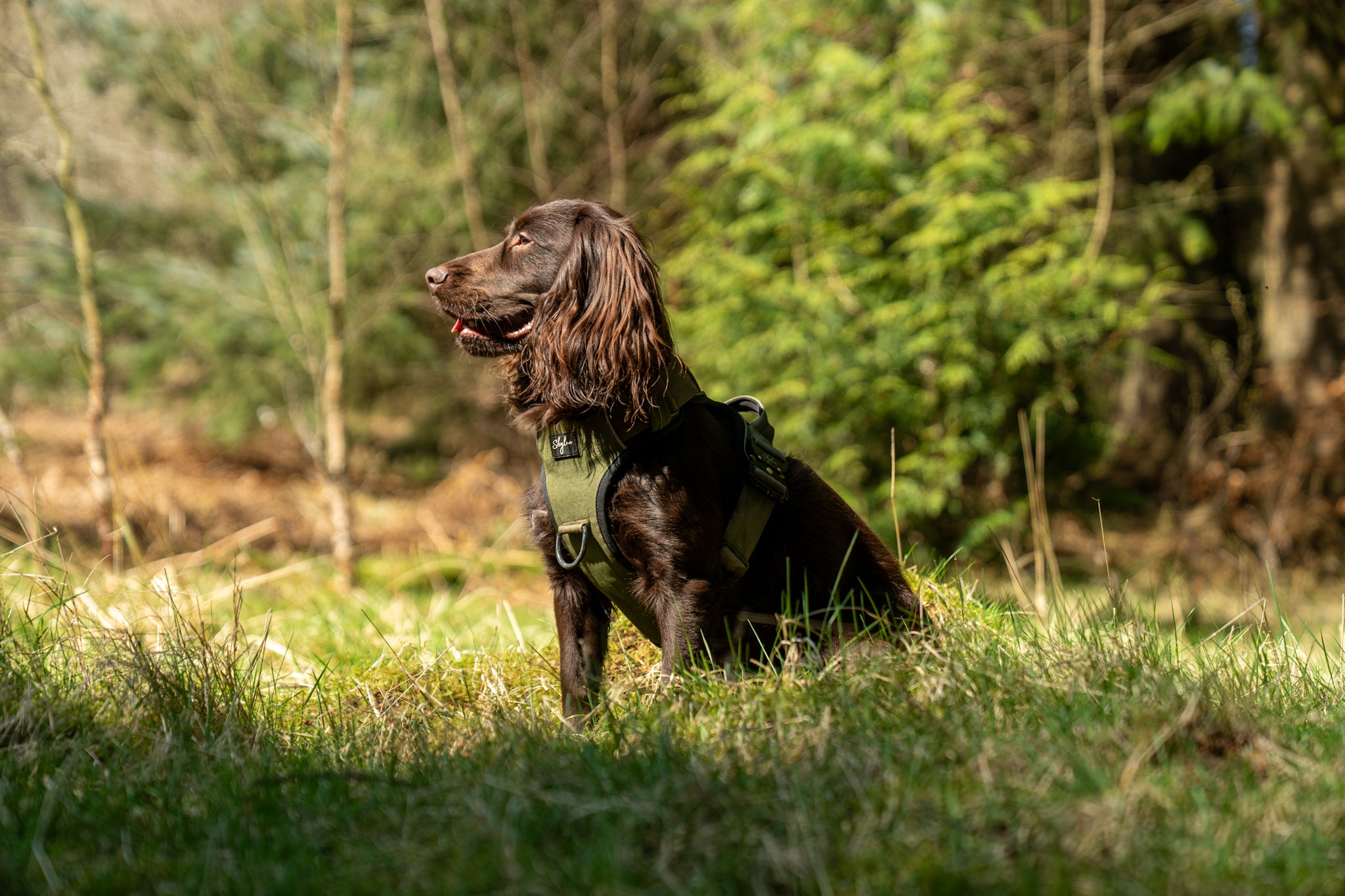 Khaki Buster Harness