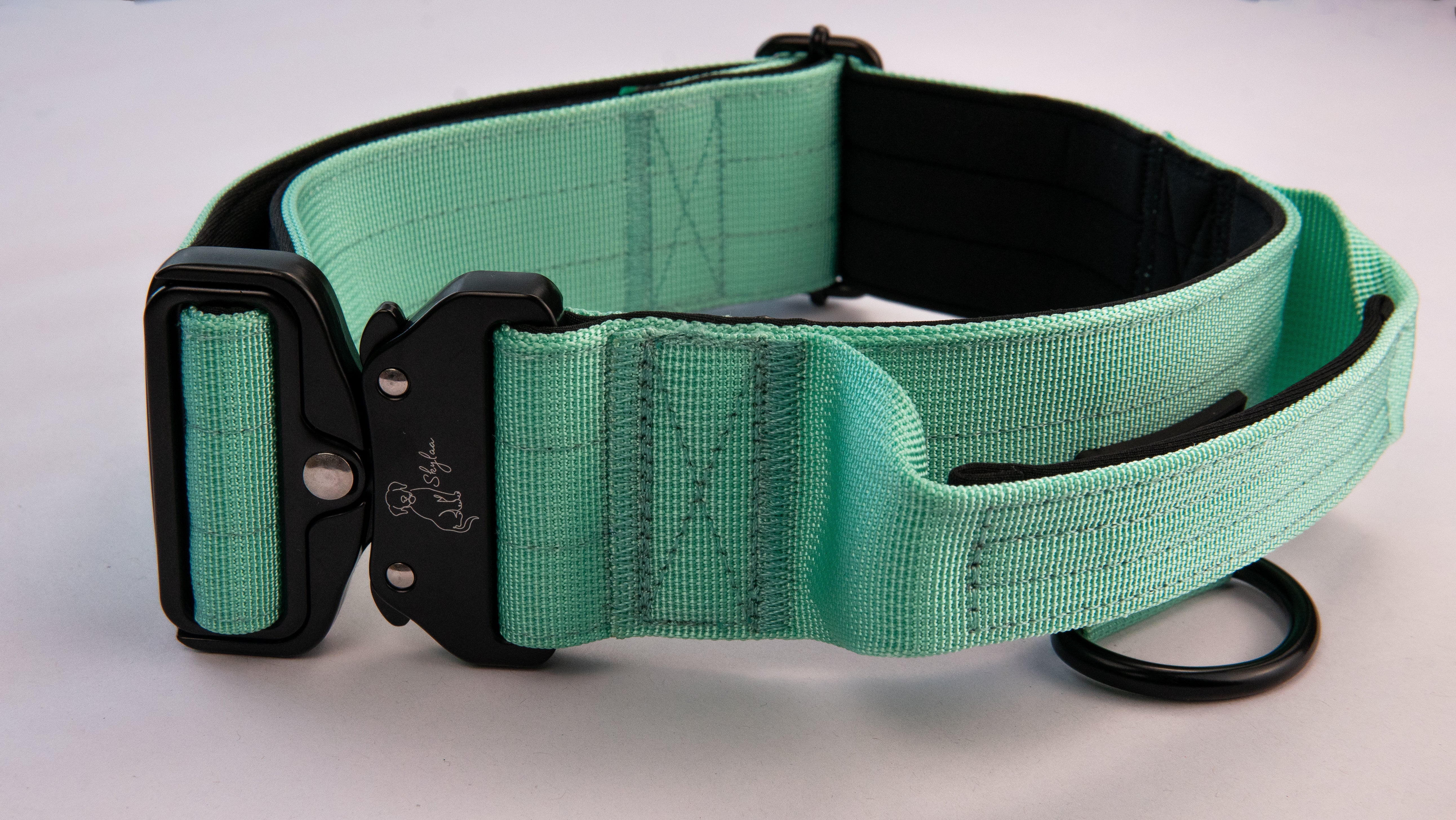 Cyan Buster Bundle- Handled Collar