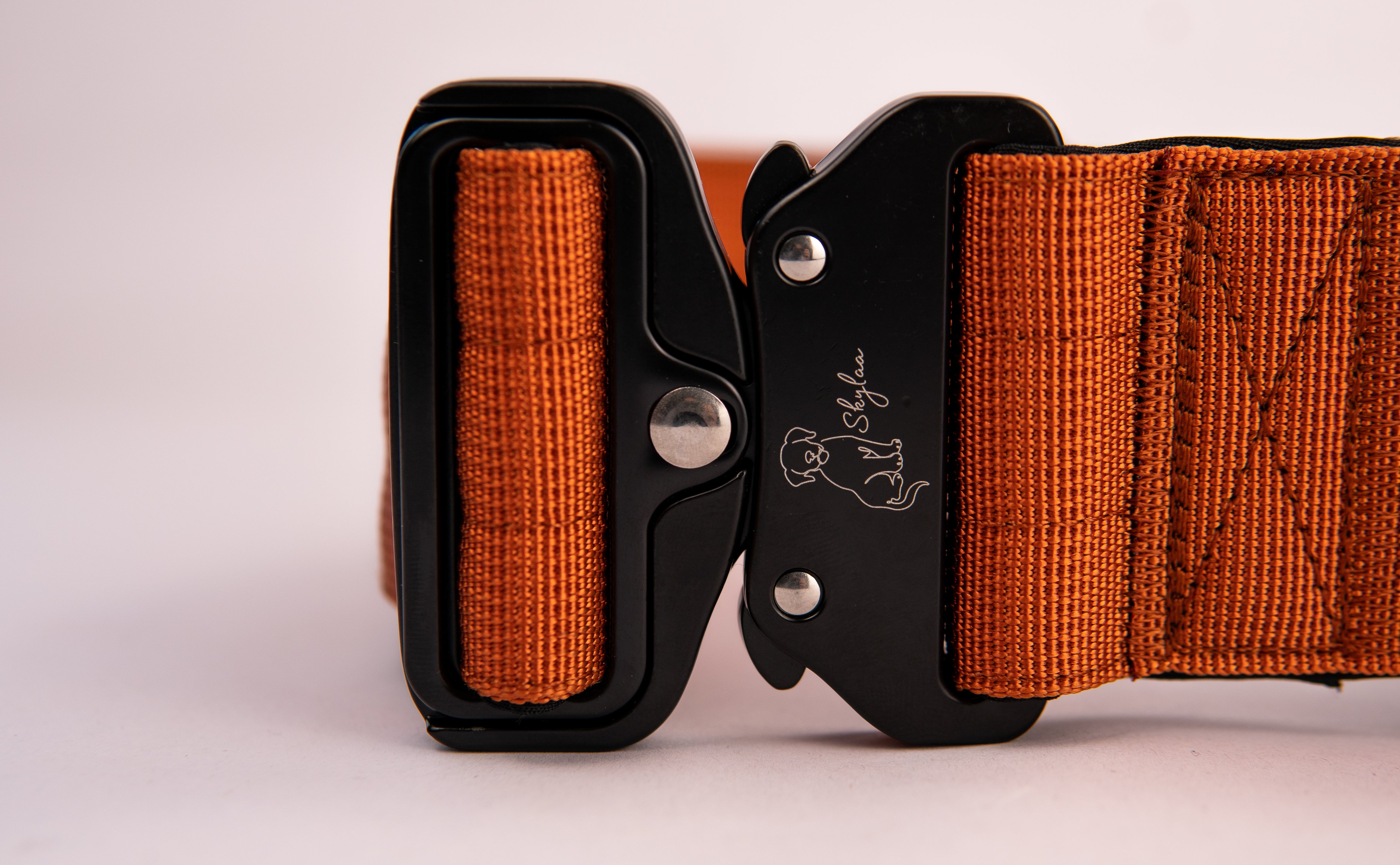 Burnt Orange Buster Collar