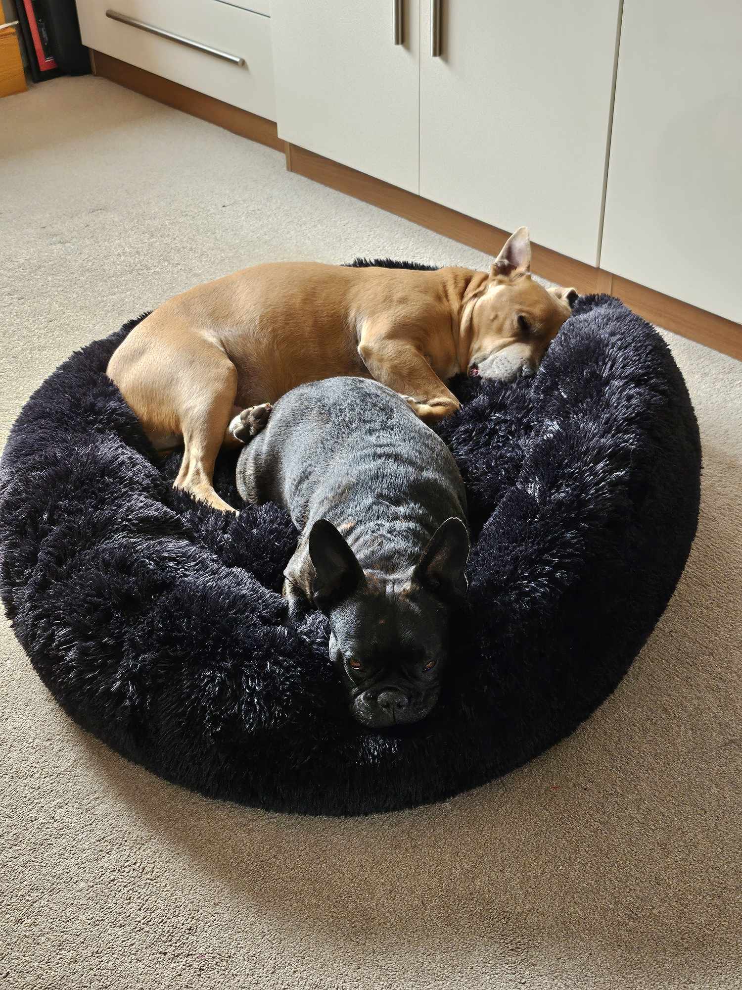 Black Anti-Anxiety Donut Bed