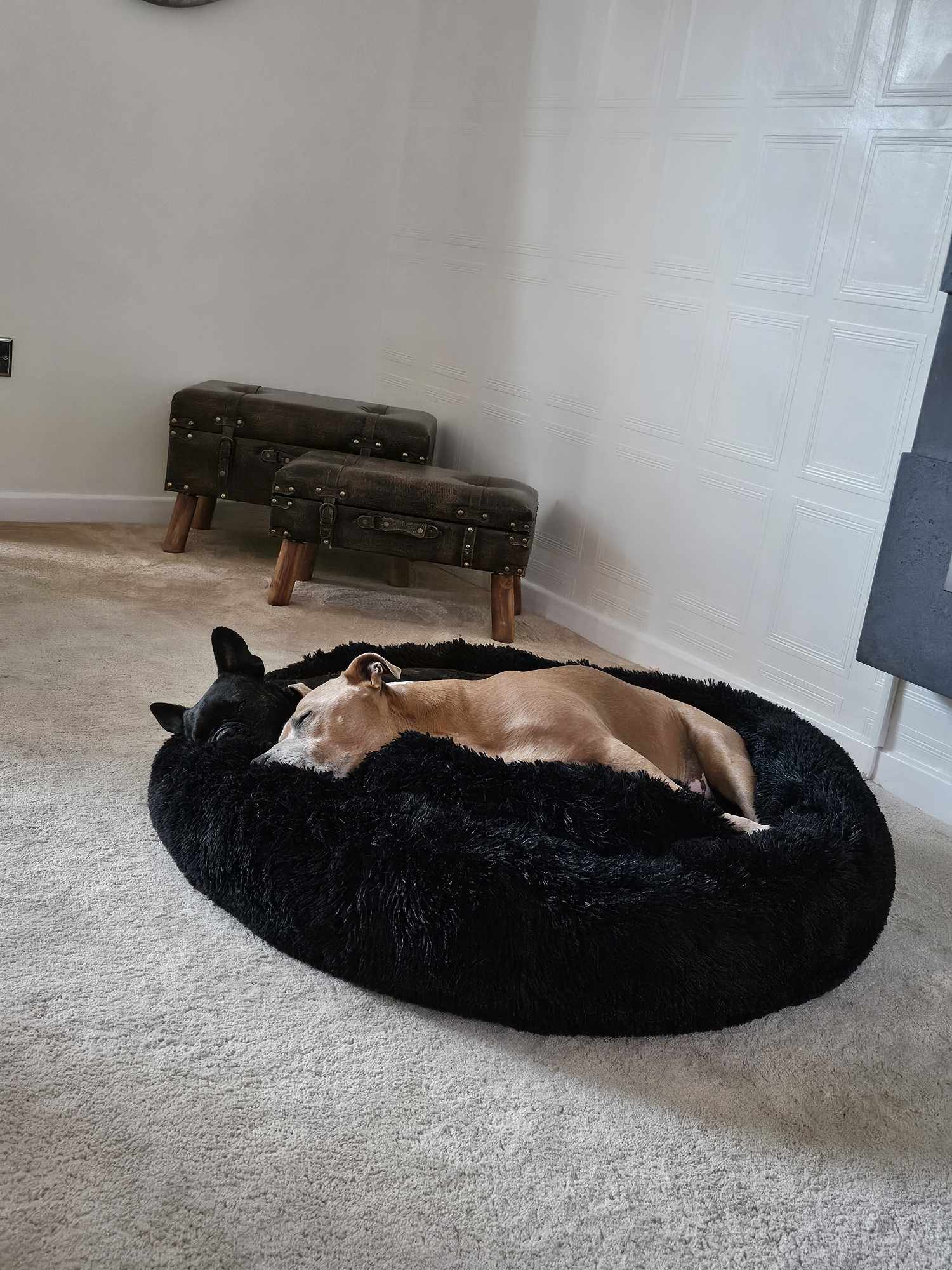 Black Anti-Anxiety Donut Bed