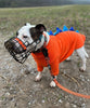 Burnt Orange Buster Lead